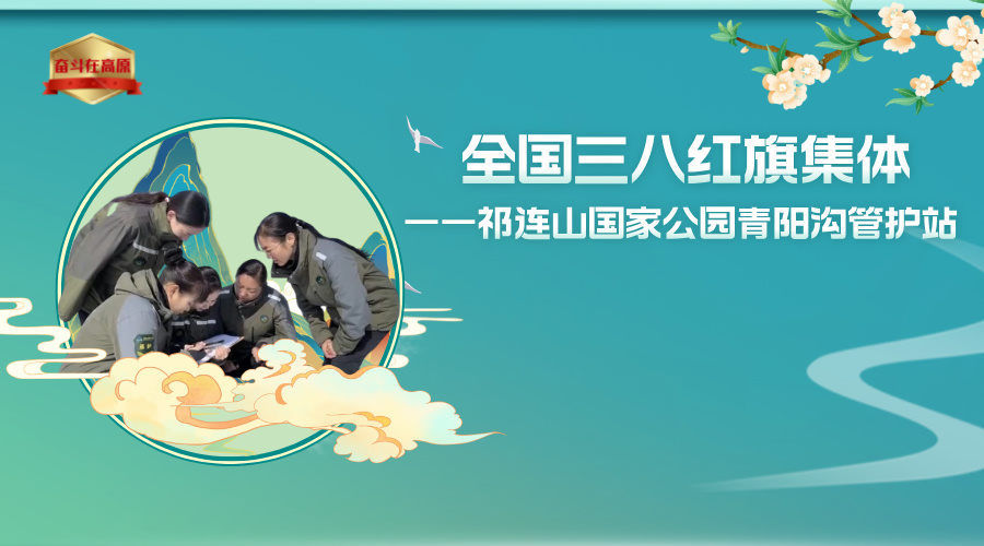雨水24节气图文风横版海报__2025-08-03+16_49_42.jpg